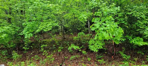 000 Glendlyon Cir, Landrum, SC 29356