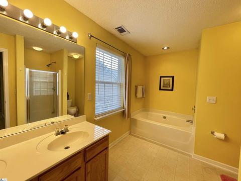 110 Constantine Way, Greer, SC 29650 photo 26