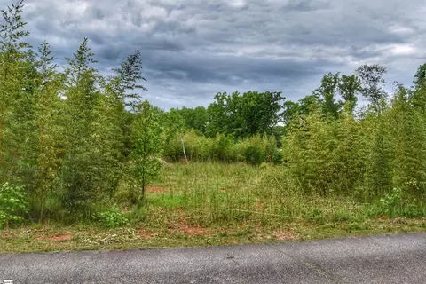 0 N Lee St, Chesnee, SC 29323