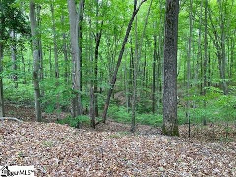 254 Grey Rd, Pelzer, SC 29669 photo 10