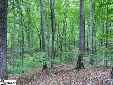 254 Grey Rd, Pelzer, SC 29669 photo 9