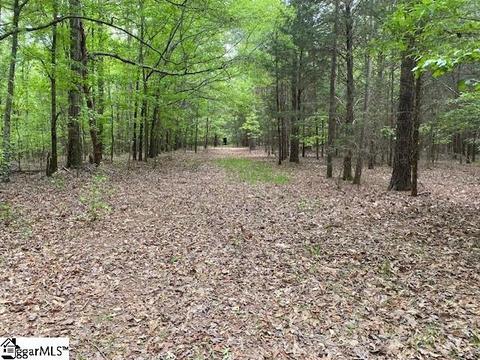 254 Grey Rd, Pelzer, SC 29669 photo 14