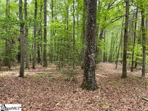 254 Grey Rd, Pelzer, SC 29669 photo 13