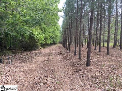 254 Grey Rd, Pelzer, SC 29669 photo 15