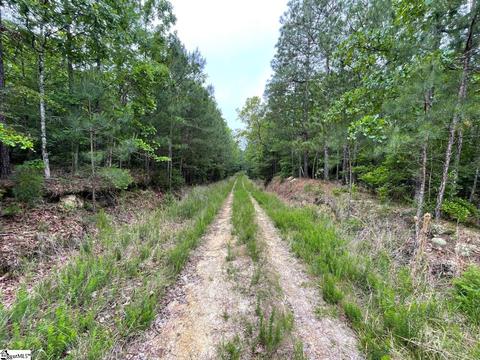 0 Bell Rd, Bradley, SC 29819
