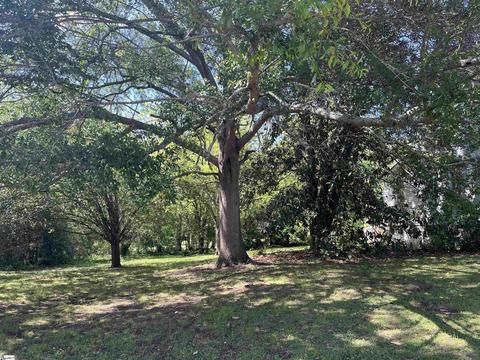 519 Gaines St, Central, SC 29630 photo 32