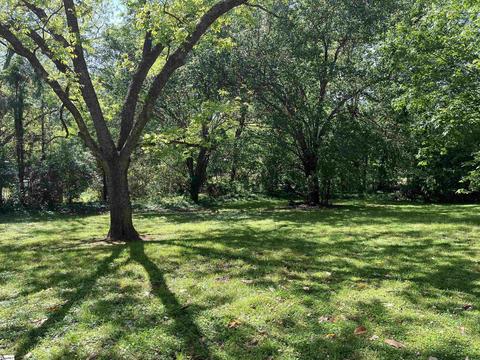 519 Gaines St, Central, SC 29630 photo 30