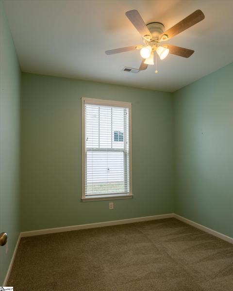 3 Royal Pine Way, Greer, SC 29650 photo 23