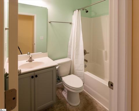 3 Royal Pine Way, Greer, SC 29650 photo 28