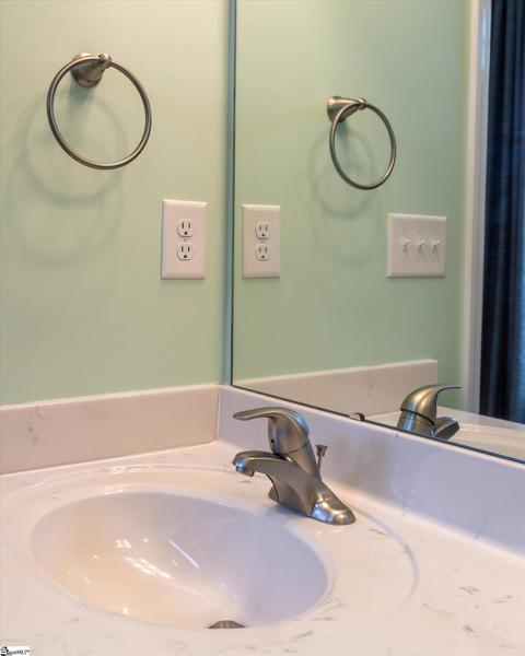 3 Royal Pine Way, Greer, SC 29650 photo 30