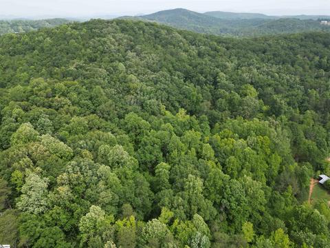 0 Nwside Wolf Creek Rd, Pickens, SC 29671