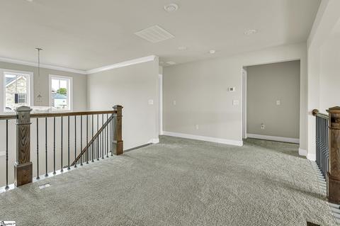 2402 Marlett Ct, Greer, SC 29651 photo 22