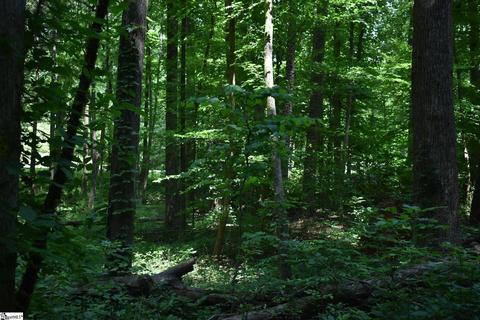 00 Blackjack Cove Lots 23 24 Rd #LOT S 23 & 24, Westminster, SC 29693