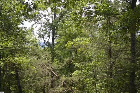 35 Parkway N, Mill Spring, NC 28756 photo 3