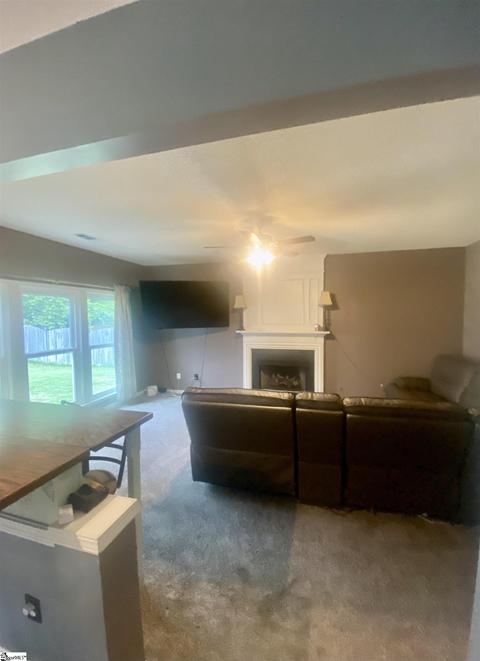 115 Cotter Ln, Greer, SC 29650 photo 8