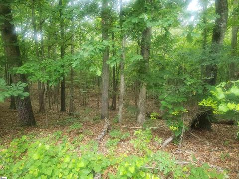 96 Oak Terrace Lot 14 Dr #LOT 14, Laurens, SC 29360