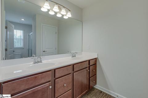 317 Hunt Glenn Ct, Greer, SC 29650 photo 10