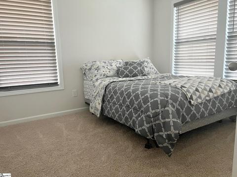 37 Planters Pl, Greer, SC 29650 photo 20
