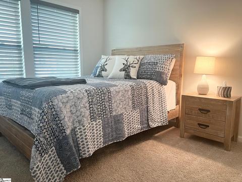 37 Planters Pl, Greer, SC 29650 photo 17