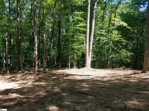 123 Ioka Hills Rd, Columbus, NC 28722
