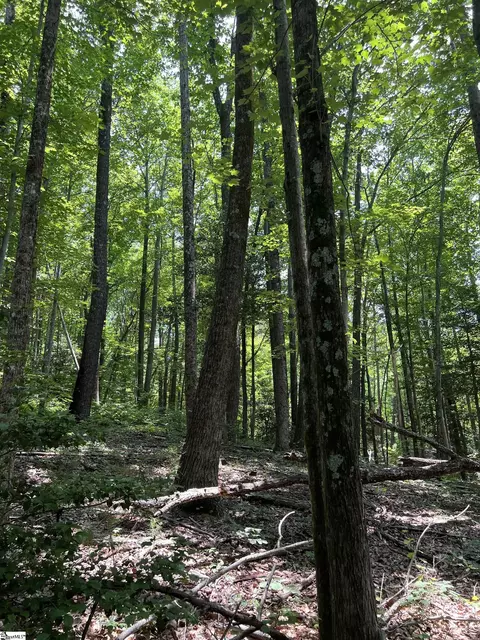 Nightshade Court Lot 204, Landrum, SC 29356