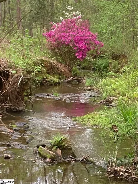 959 Garrison Rd, Pelzer, SC 29669 photo 28