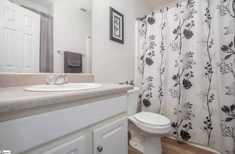 176 Sheriff Mill Rd, Easley, SC 29642 photo 12