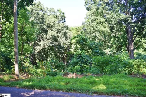 0 Payne St, Tryon, SC 28782