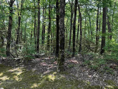 7 Grouse Dr, Landrum, SC 29356 photo 4