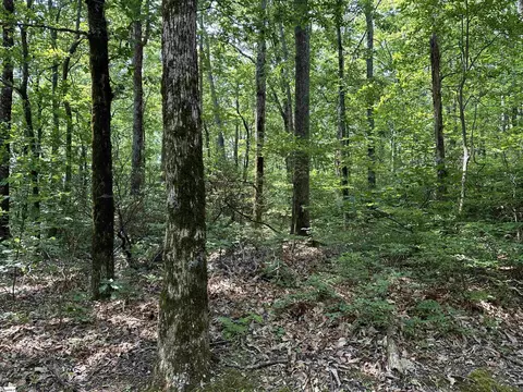 7 Grouse Dr, Landrum, SC 29356 photo 3