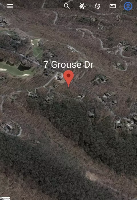 7 Grouse Dr, Landrum, SC 29356 photo 7