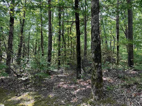 7 Grouse Dr, Landrum, SC 29356