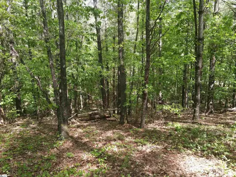 111 Princess Tree Way, Sunset, SC 29685 photo 9