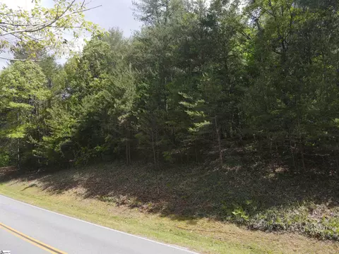 111 Princess Tree Way, Sunset, SC 29685 photo 7