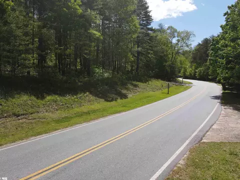 111 Princess Tree Way, Sunset, SC 29685 photo 6