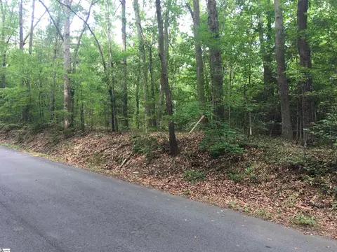 0 Chapman Rd, Pelzer, SC 29669 photo 2