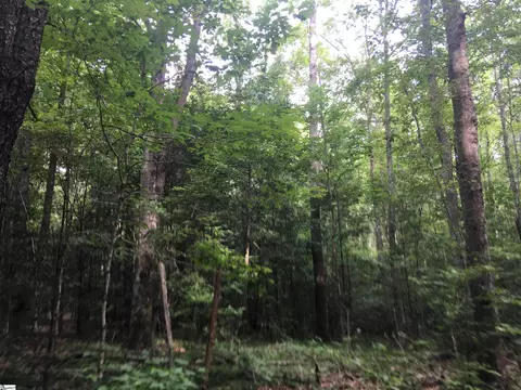 0 Chapman Rd, Pelzer, SC 29669 photo 4