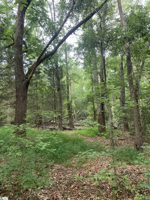 0 Chapman Rd, Pelzer, SC 29669 photo 11