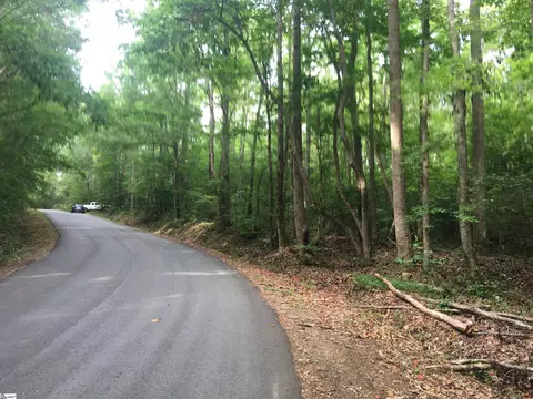 0 Chapman Rd, Pelzer, SC 29669 photo 6