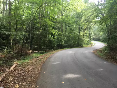 0 Chapman Rd, Pelzer, SC 29669 photo 5