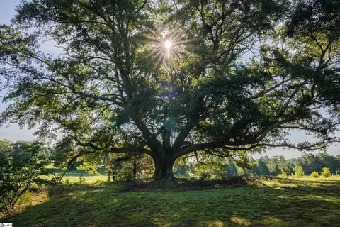 705 Cherokee Trl, Easley, SC 29640 photo 9