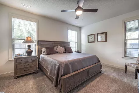52 Vinton Ct, Greer, SC 29651 photo 23