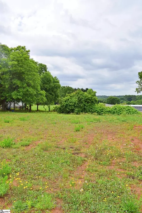 Highway 357, Lyman, SC 29365 photo 11