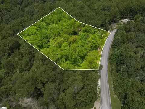 25 White Fox Trl, Marietta, SC 29661