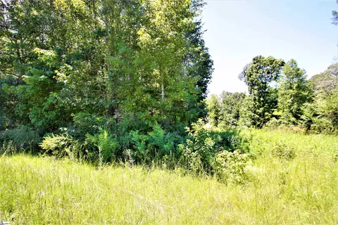 Undisclosed, Roebuck, SC 29376 photo 5