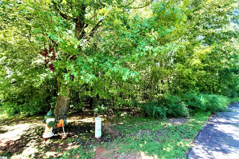 Undisclosed, Roebuck, SC 29376 photo 7
