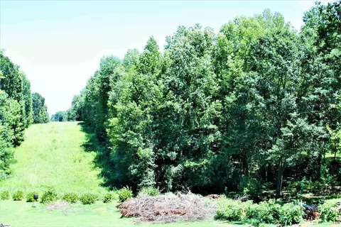 Undisclosed, Roebuck, SC 29376 photo 14