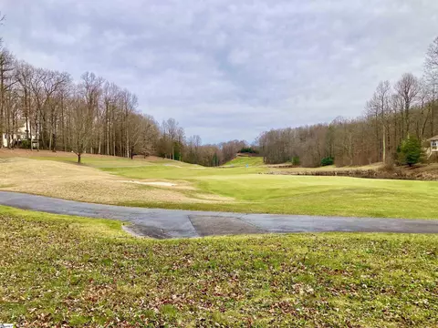 10 Snap Dragon Way, Landrum, SC 29356
