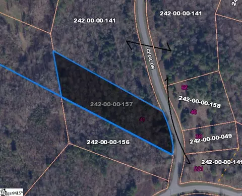 41 Cecil Dr, Waterloo, SC 29384 photo 3