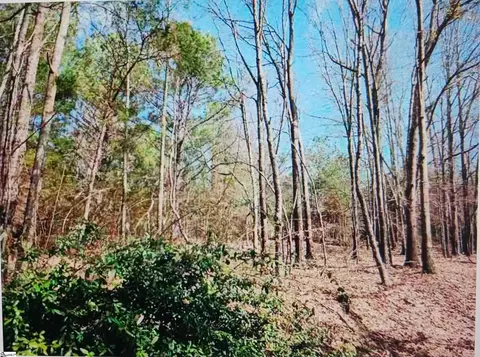 0 Augusta Rd, Pelzer, SC 29669 photo 2